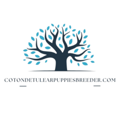 Diverse Learning Insights